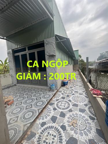 Mua bán nhà đất, tại Đường Quốc lộ 50, Huyện Cần Giuộc, Long An